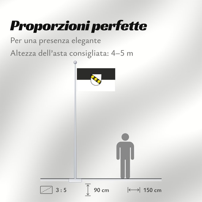 Proporzioni della bandiera: Wernau (Neckar) (Region Stuttgart)