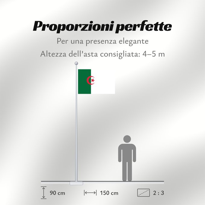 Proporzioni della bandiera: Variant flag of the GPRA 1962 Used by the GPRA