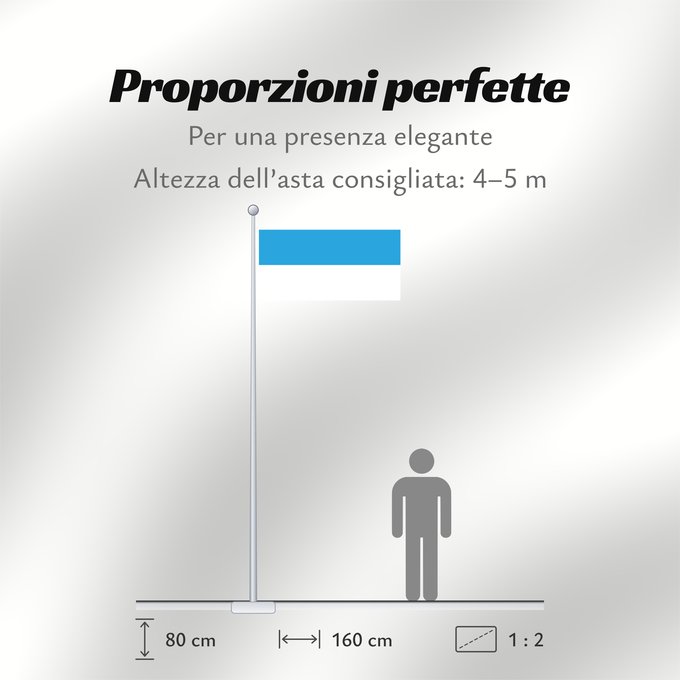 Proporzioni della bandiera: Et-Viljandi Viljandi