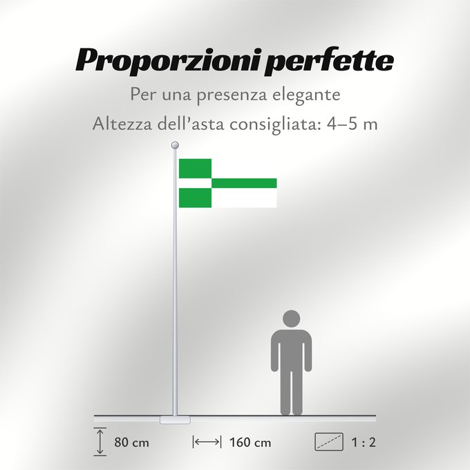 Proporzioni della bandiera: Paide lipp	Paide	Paide town - Estonia. 2 1