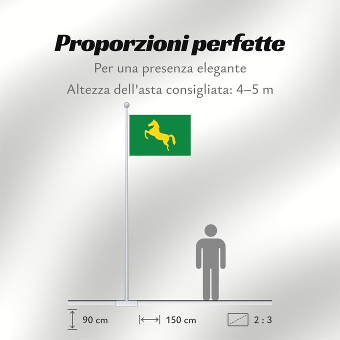 Proporzioni della bandiera: Ash Sharqiyah	Ash Sharqiyah Governorate	Gouvernorat de Sharqiya	Gobernación de Ash Sharqiyah	Gouvernement Ash Scharkija	Governatorato di Sharqia	Egypt s Ash Sharqiyah Governorate