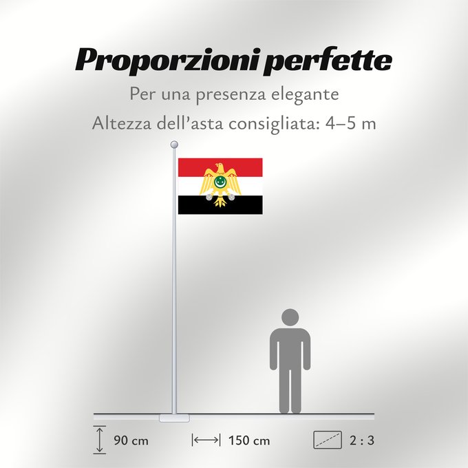 Proporzioni della bandiera: Egypt 1952