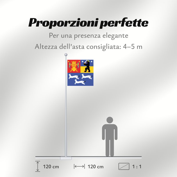 Proporzioni della bandiera: Länsi-Suomen lääni
