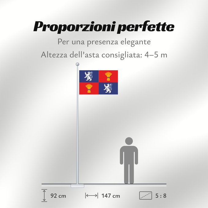 Proporzioni della bandiera: Gascogne French province of Gascogne Armorié de Gascogne Las armas de Gasconha