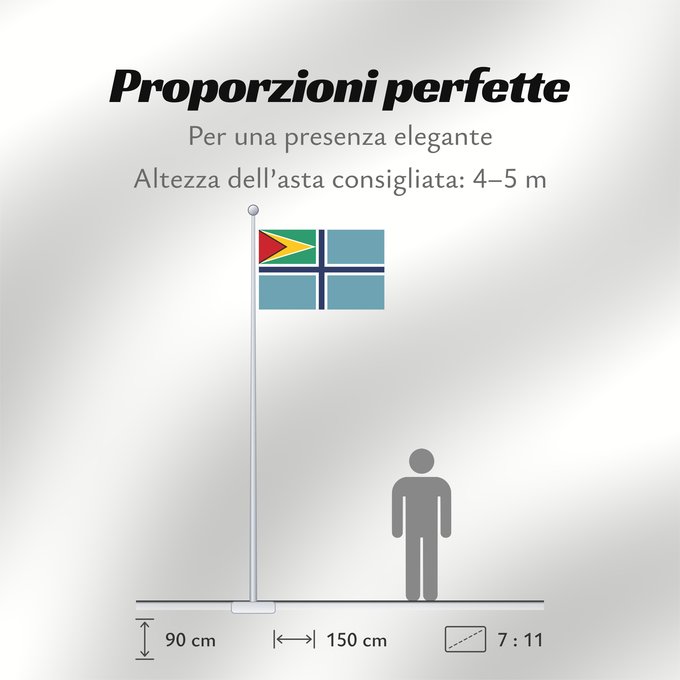 Proporzioni della bandiera: Civil Air Ensign of Guyana