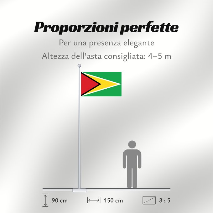 Proporzioni della bandiera: Guyana	Guiana	Wayana wiphala	Gujano	Gwayana	Wayana unancha	Флаг Гайаны	Guyanas	Quốc kỳ Guyana