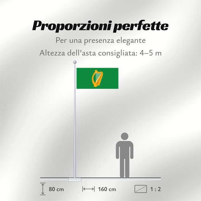 Proporzioni della bandiera: Leinster  bright	Leinster (bright)	Leinster (lumineux)	Leinster (brillante)	Leinster (hell)	Leinster (luminoso)	W Leinster