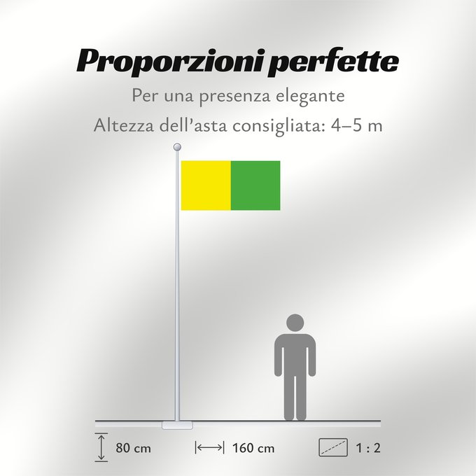 Proporzioni della bandiera: County Leitrim	Comté de Leitrim	Condado de Leitrim	Contea di Leitrim