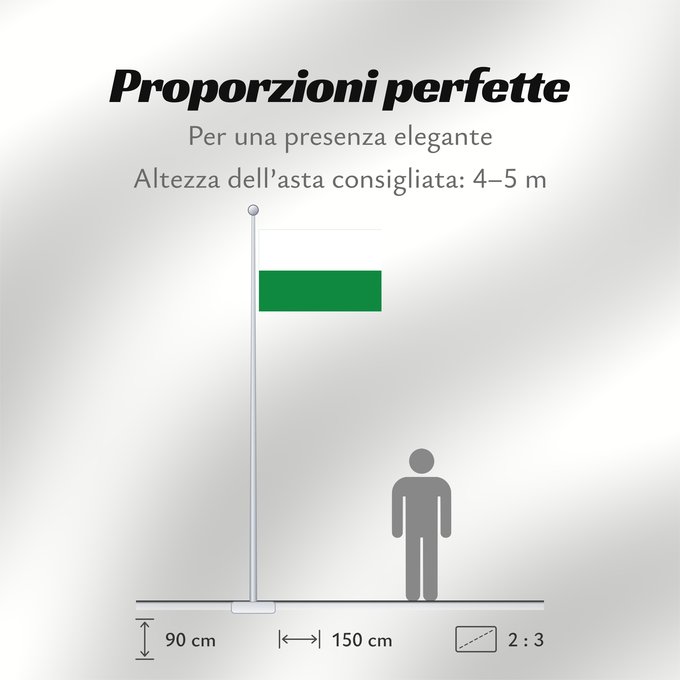 Proporzioni della bandiera: INPT