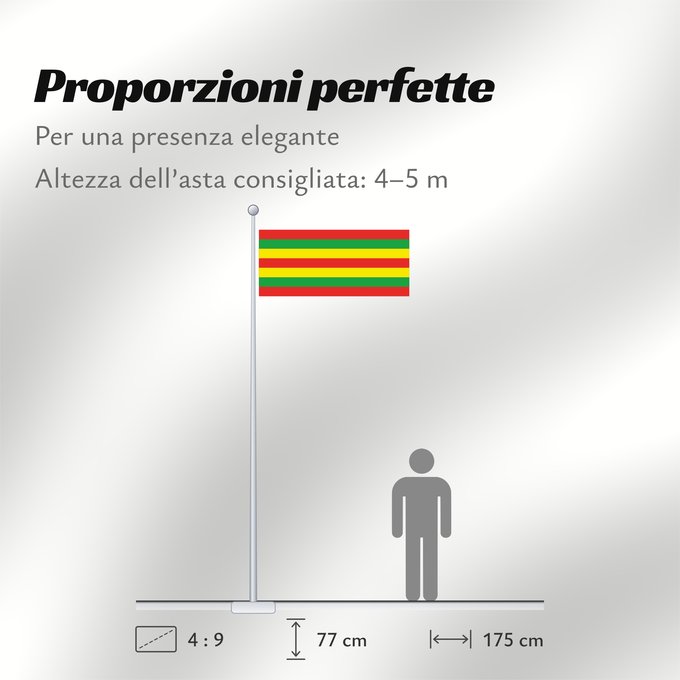Proporzioni della bandiera: Patiala