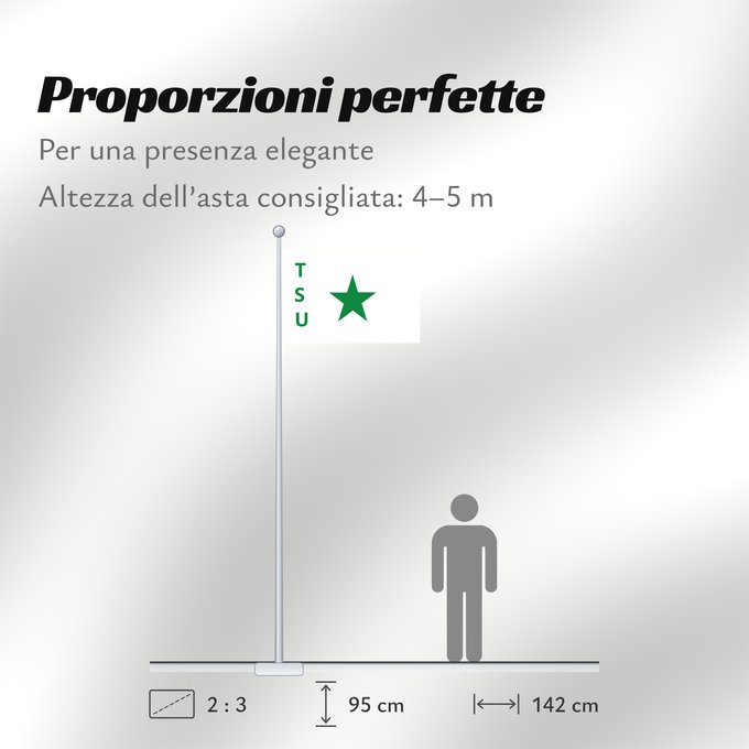 Proporzioni della bandiera: TSU