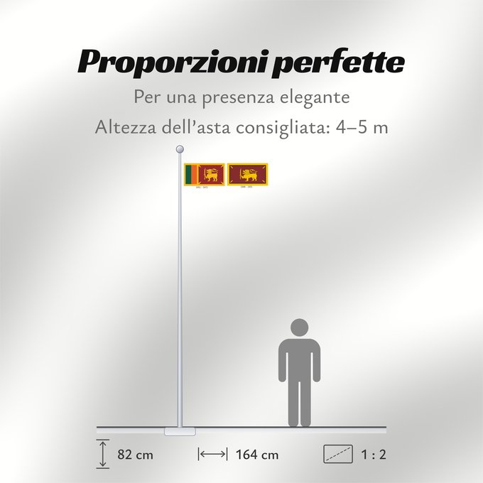 Proporzioni della bandiera: Dominion of Ceylon	Dominion de Ceylan	Dominio de Ceilán	Dominion Ceylon	Dominion di Ceylon