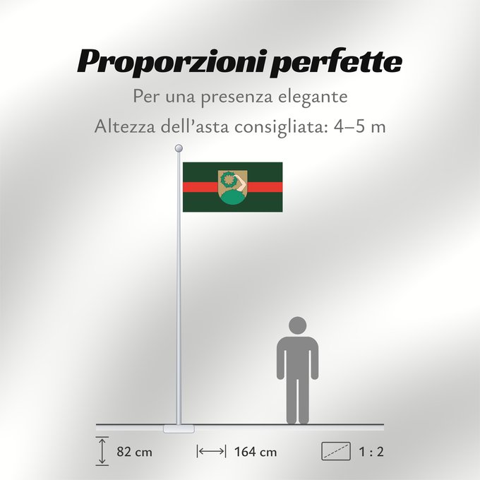 Proporzioni della bandiera: Talsi	City of Talsi, Latvia	Talsu pilsētas karogs