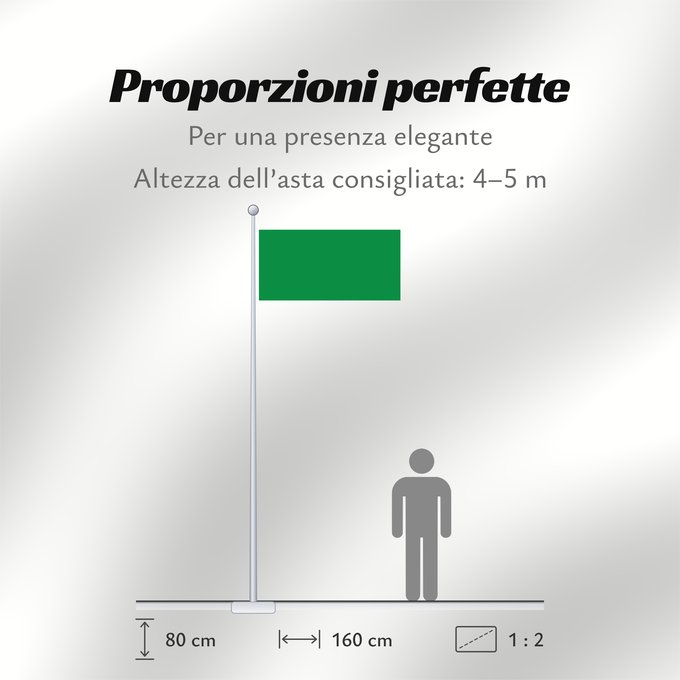 Proporzioni della bandiera: Libya 1977-2011 The national flag of the Libyan Jamahiriya from 1977 to 2011 La Libye 1977 à 2011 Libia Libyens von 1977 bis 2011 Libië van 1977 tot 2011 Líbia Pl Flaga Libii Libië علم ليبيا Banniel Libia Liibüa lipp דגל לוב リビアの国旗 1977年-2011年 Libyas fl