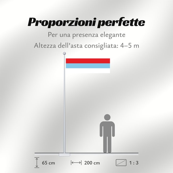 Proporzioni della bandiera: Montenegro  1993-2004	Montenegro between 1993 and 2004	Crne Gore  1993-2004