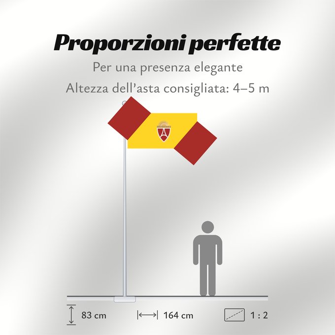 Proporzioni della bandiera: Aerodrom Municipality, North Macedonia	New flag of Aerodrom Municipality, Macedonia	Municipalité d'Aerodrom (Nouveau drapeau, Macédoine)	Municipio de Aerodrom (Nueva bandera, Macedonia)	Gemeinde Aerodrom (Neue Flagge, Mazedonien)	Comune di Aerodrom (Nuova