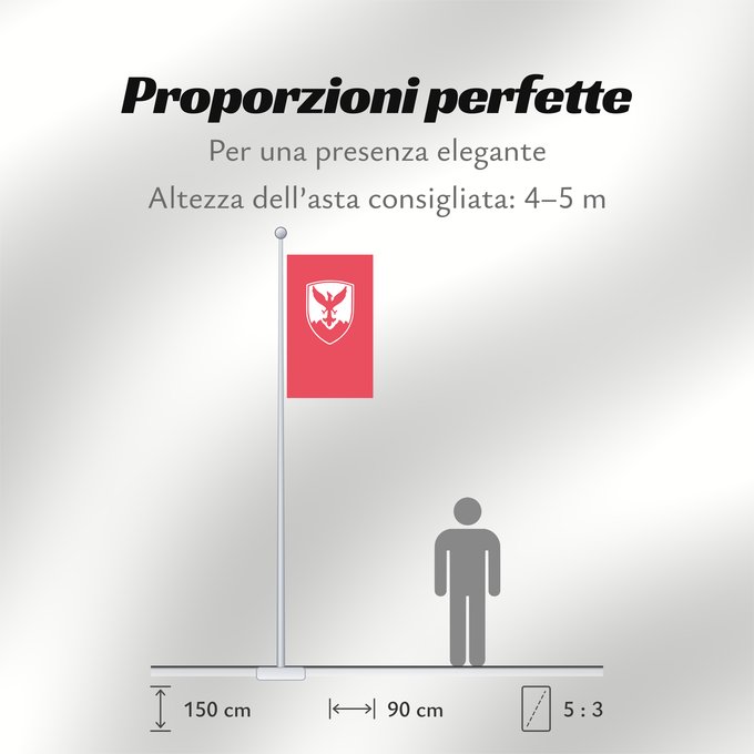 Proporzioni della bandiera: Centar Municipality, Macedonia Знаме на Општина Центар