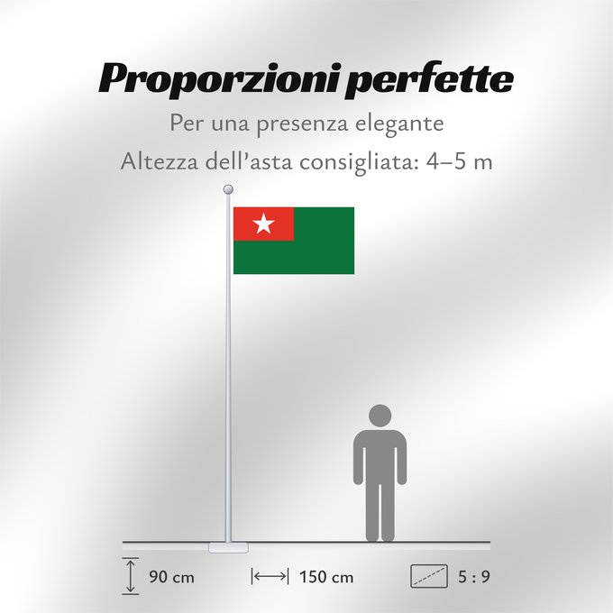 Proporzioni della bandiera: Union Solidarity and Development Association