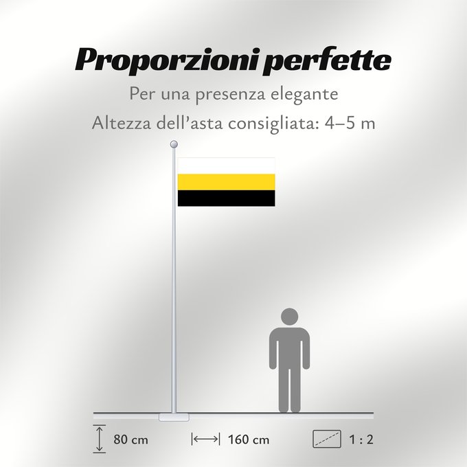 Proporzioni della bandiera: Perak Malaysian state of Perak