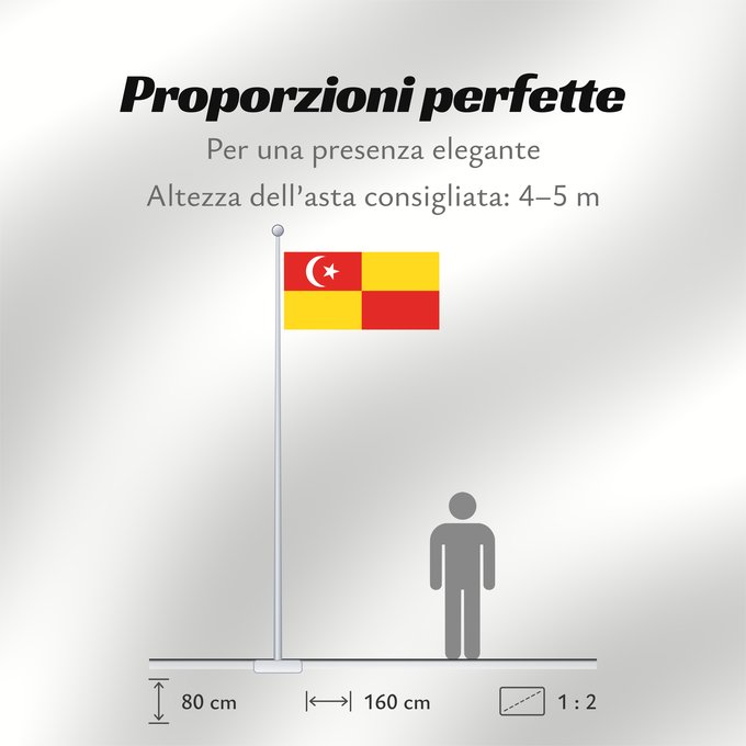 Proporzioni della bandiera: Selangor	Selangor 	Malaysian state Selangor