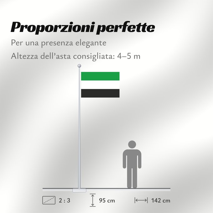 Proporzioni della bandiera: Leek	Leek, municipality in the Netherlands	Leek, gemeente in Nederland	Fan De Like, gemeente yn Nederlân