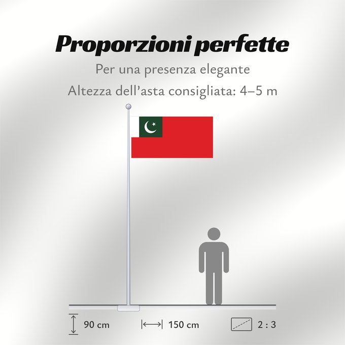 Proporzioni della bandiera: Civil Ensign of Pakistan	Pavillon civil du Pakistan	Bandera de proa civil de Pakistán	Zivile Flagge Pakistans	Bandiera civile del Pakistan