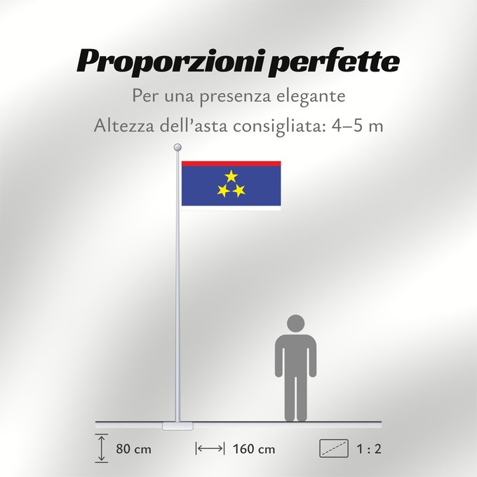Proporzioni della bandiera: Vojvodina Voïvodine Voivodina Wojwodina Застава Војводине Vojvodine A Vajdaság Voivodinei Vojvodiny