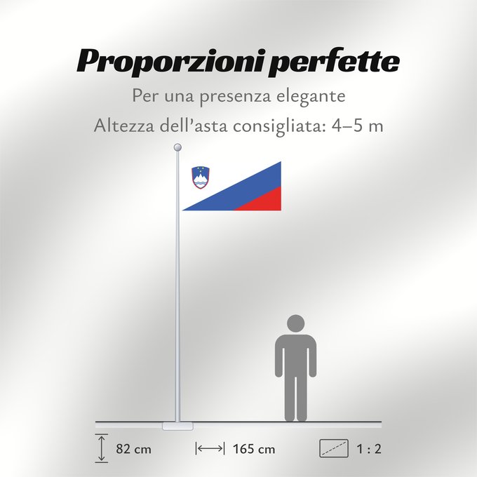 Proporzioni della bandiera: Slovenia Flag proposal Proposed national flag of Slovenia 2003