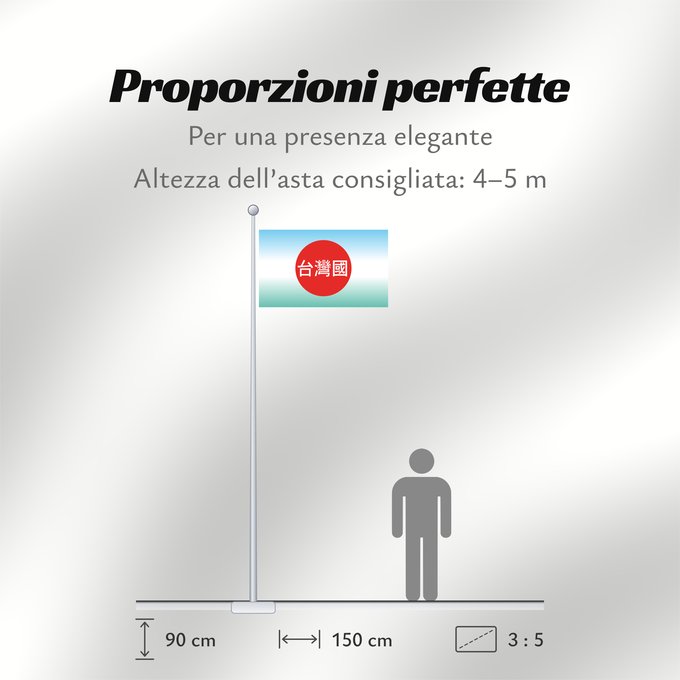 Proporzioni della bandiera: 908台灣國運動