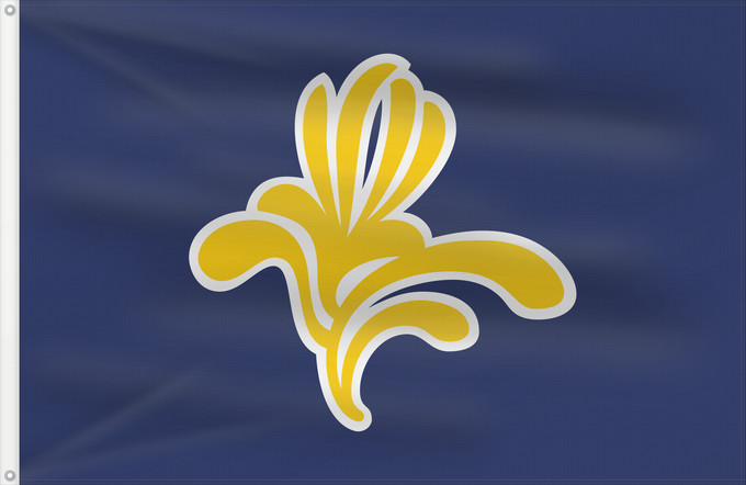Drapeau, avec deux œillets métalliques et guindant renforcé : Brussels-Capital Region  1991–2015	Brussels-Capital Region between 1991 and 2015	Brüssel	Bruselas	Bruxelles	Fändel vun der Haaptstadregioun Bréissel	Прапор Брюсселю