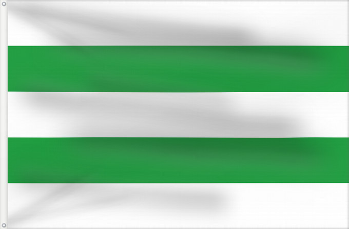 Bandera, con dos ojales metálicos y lado del asta reforzado: Hasselt  B  vlag	Stad Hasselt