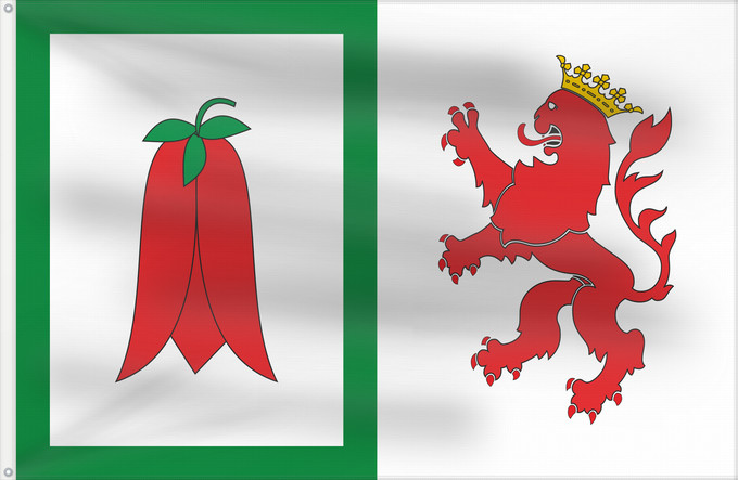 Flagge, mit zwei Metallösen und verstärktem Besatzband: Arauco	Arauco, Chile