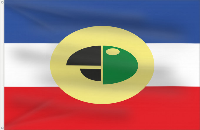 Bandera, con dos ojales metálicos y lado del asta reforzado: Carepa  Antioquia	Carepa	Municipio de Carepa  Antioquia