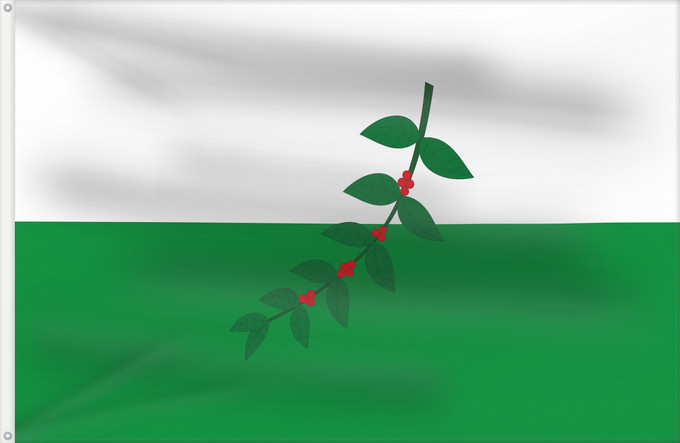 Bandera, con dos ojales metálicos y lado del asta reforzado: La Celia  Risaralda	La Celia (Risaralda)	Municipio de La Celia  Risaralda