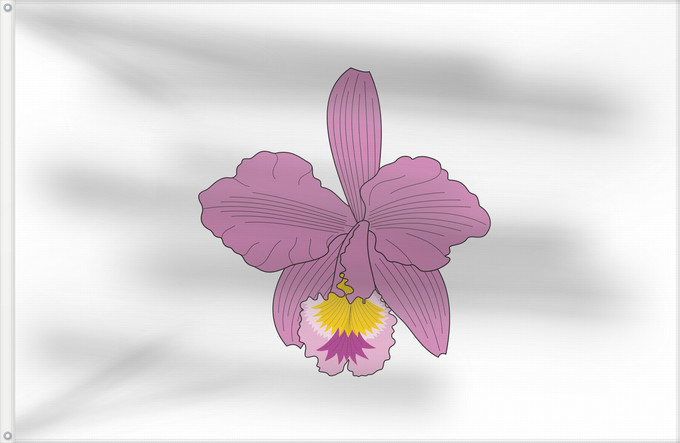 Flag, with two metal eyelets and reinforced hoist: Macanal  Boyacá	Macanal (Boyacá)	Municipio de Macanal  Boyacá