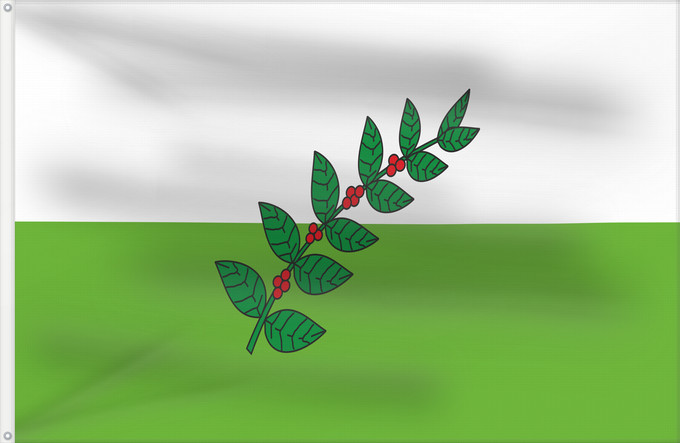 Flagge, mit zwei Metallösen und verstärktem Besatzband: San Juan de Rioseco  Cundinamarca	San Juan de Rioseco (Cundinamarca)	Municipio de San Juan de Rioseco  Cundinamarca