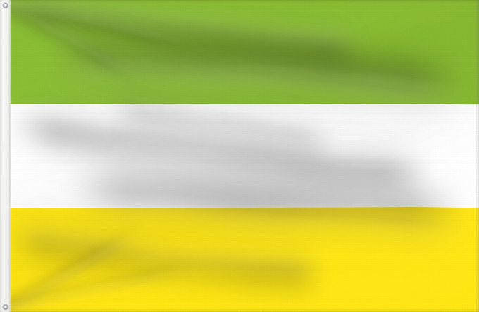 Bandera, con dos ojales metálicos y lado del asta reforzado: San Martín  Meta	San Martín (Meta)	Municipio de San Nartín de los Llanos  Meta