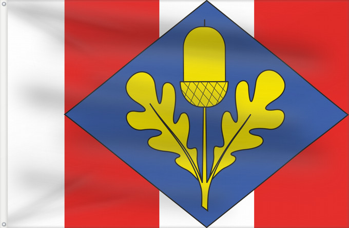 Flag, with two metal eyelets and reinforced hoist: Brněnec flag CZ Municipal flag of Brněnec village Brněnec Brněnec, okres Svitavy
