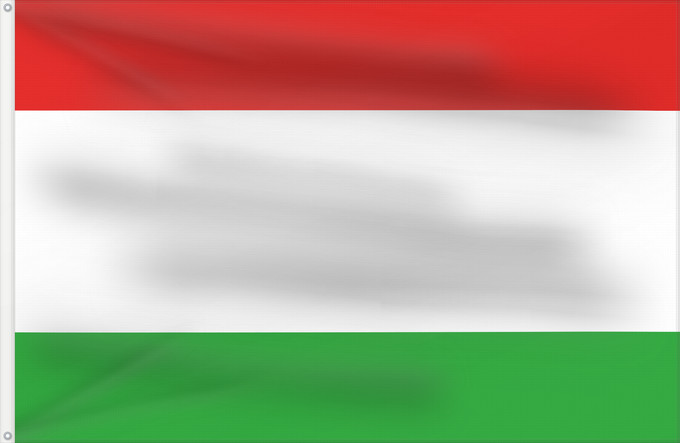 Flag, with two metal eyelets and reinforced hoist: Brno-Bohunice  vlajka	Former flag of Brno-Bohunice	Brno-Bohunice (ancien)	Brno-Bohunice (anterior)	Brno-Bohunice (ehemalig)	Brno-Bohunice (ex)	Historická vlajka městské části Brna-Bohunic