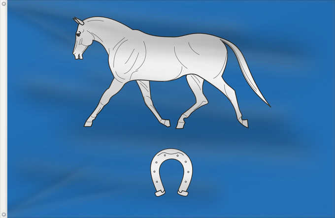 Flag, with two metal eyelets and reinforced hoist: Brno-Ivanovice vlajka	Brno-Ivanovice	Městské části Brna-Ivanovic