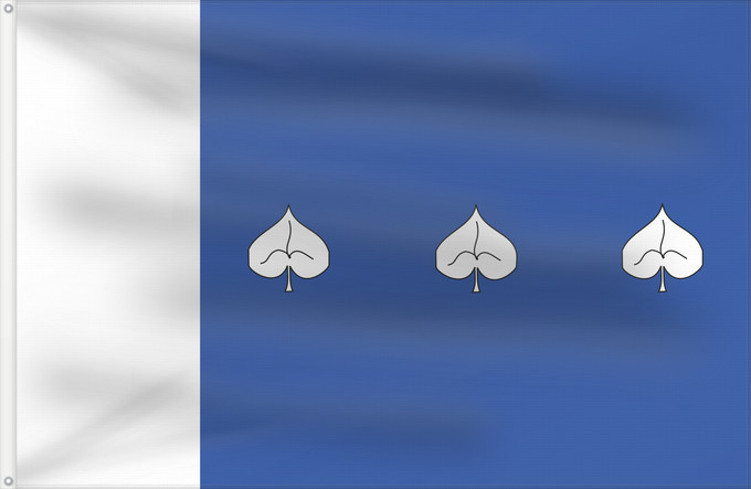 Flag, with two metal eyelets and reinforced hoist: Cidlina TR This W3C-unspecified vector image was created with Inkscape Cidlina Vesnice cs Cidlina, okres Třebíč