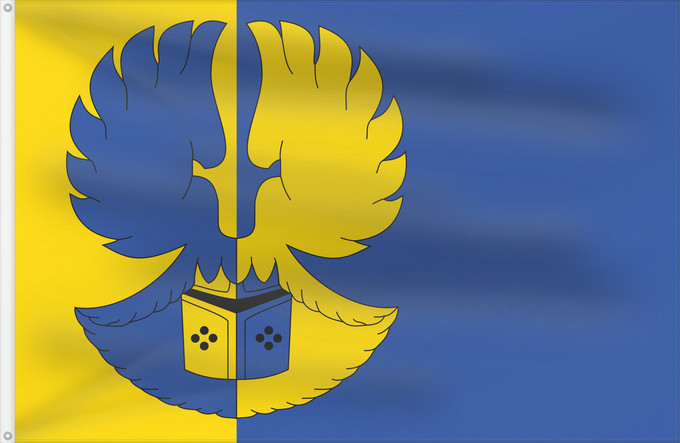 Flag, with two metal eyelets and reinforced hoist: Dolní Vilémovice TR	Municipal flag of cs Dolní Vilémovice village