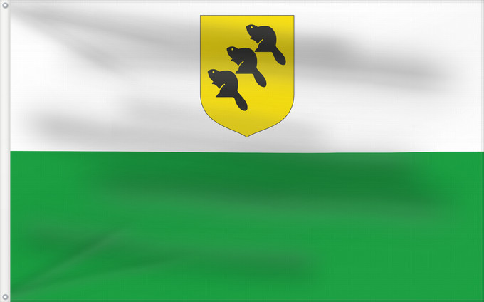 Drapeau, avec deux œillets métalliques et guindant renforcé : Põlvamaa lipp