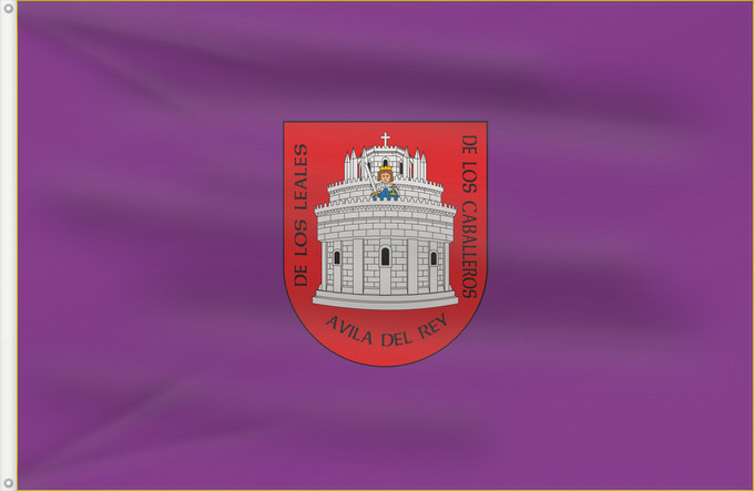 Bandera, con dos ojales metálicos y lado del asta reforzado: Ávila	Ciudad de Ávila  España