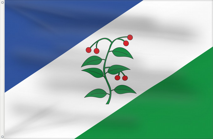 Bandera, con dos ojales metálicos y lado del asta reforzado: D Arbúcies It is easy to put a border around this flag image Arbúcies Apaisada Apaïsada de proporcions dos dalt per tres de llarg