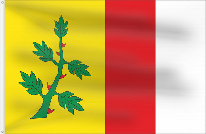 Bandera, con dos ojales metálicos y lado del asta reforzado: Espinosa de Villagonzalo Espinosa de Villagonzalo Palencia, Spain Municipial de Espinosa de Villagonzalo Palencia