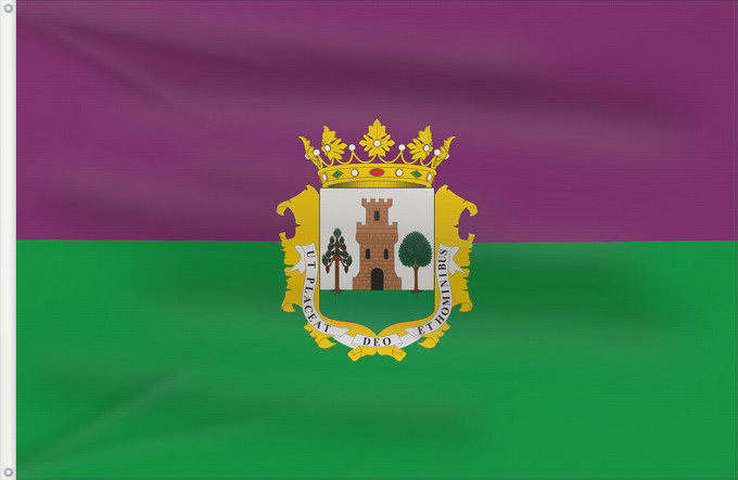 Bandera, con dos ojales metálicos y lado del asta reforzado: Plasencia	Municipio de Plasencia  Cáceres-España