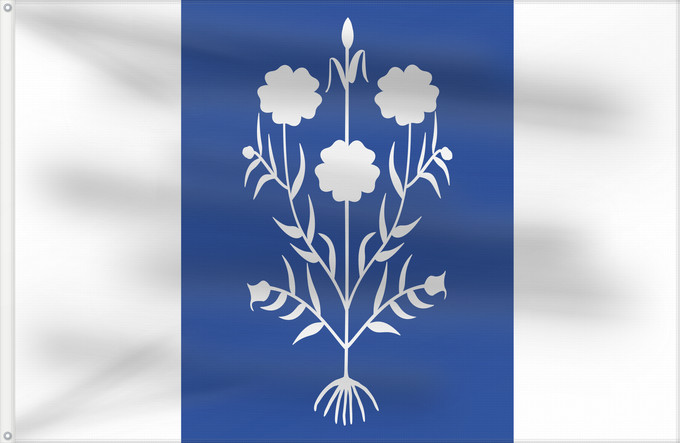 Bandera, con dos ojales metálicos y lado del asta reforzado: Sancedo Spain	Sancedo, in León province, Spain	Sancedo	Rectangular