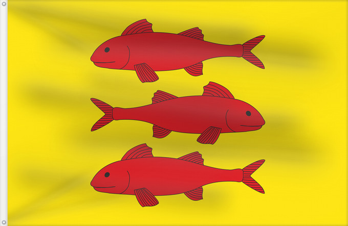 Bandera, con dos ojales metálicos y lado del asta reforzado: Vallmoll	Apaisada	Apaïsada