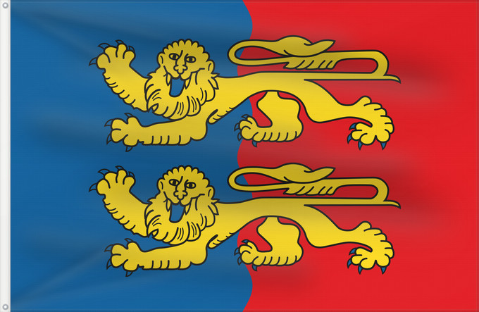 Flag, with two metal eyelets and reinforced hoist: Non-officiel fr département Manche Manche Non-officiel du département de la Manche Manche (no oficial) Manche (inoffiziell) Manche (non ufficiale) Banniel anofisiel departamant ar Manche
